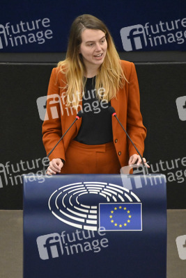 Plenartagung über den Digital Services Act im EU-Parlament in Straßburg