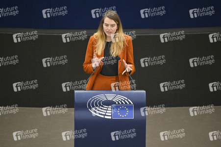 Plenartagung über den Digital Services Act im EU-Parlament in Straßburg