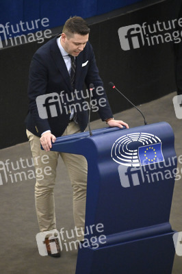 Plenartagung über den Digital Services Act im EU-Parlament in Straßburg