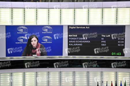 Plenartagung über den Digital Services Act im EU-Parlament in Straßburg