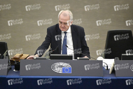 Plenartagung über den Digital Services Act im EU-Parlament in Straßburg