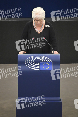Plenartagung über den Digital Services Act im EU-Parlament in Straßburg