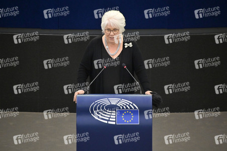 Plenartagung über den Digital Services Act im EU-Parlament in Straßburg