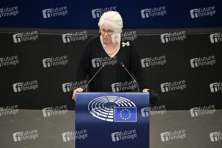 Plenartagung über den Digital Services Act im EU-Parlament in Straßburg