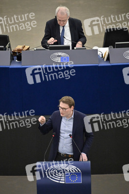 Plenartagung über den Digital Services Act im EU-Parlament in Straßburg