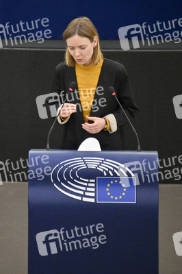 Plenartagung über den Digital Services Act im EU-Parlament in Straßburg