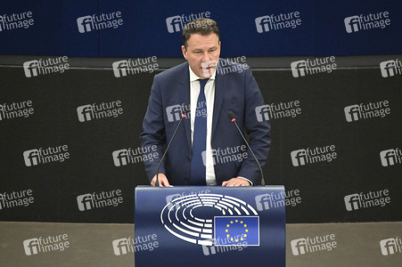 Plenartagung über den Digital Services Act im EU-Parlament in Straßburg