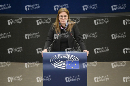 Plenartagung über den Digital Services Act im EU-Parlament in Straßburg