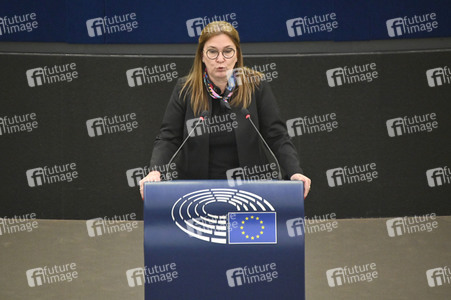 Plenartagung über den Digital Services Act im EU-Parlament in Straßburg