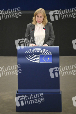 Plenartagung über den Digital Services Act im EU-Parlament in Straßburg