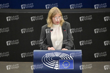 Plenartagung über den Digital Services Act im EU-Parlament in Straßburg