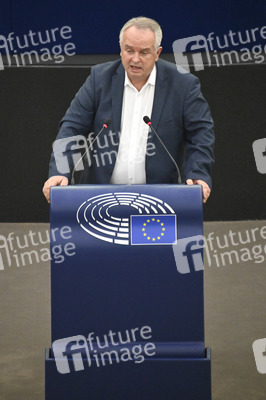 Plenartagung über den Digital Services Act im EU-Parlament in Straßburg