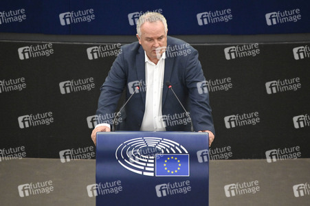Plenartagung über den Digital Services Act im EU-Parlament in Straßburg