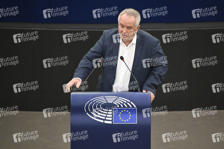 Plenartagung über den Digital Services Act im EU-Parlament in Straßburg