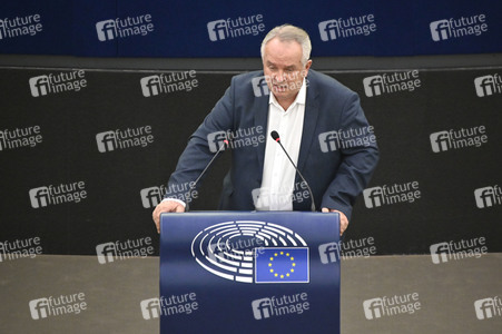 Plenartagung über den Digital Services Act im EU-Parlament in Straßburg