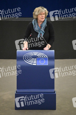 Plenartagung über den Digital Services Act im EU-Parlament in Straßburg