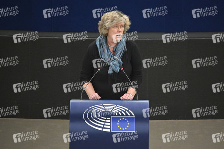 Plenartagung über den Digital Services Act im EU-Parlament in Straßburg