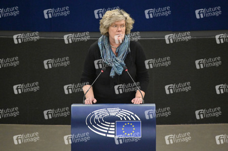 Plenartagung über den Digital Services Act im EU-Parlament in Straßburg