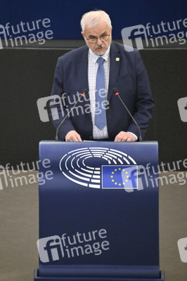 Plenartagung über den Digital Services Act im EU-Parlament in Straßburg
