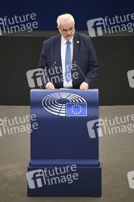 Plenartagung über den Digital Services Act im EU-Parlament in Straßburg