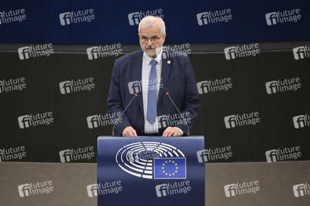 Plenartagung über den Digital Services Act im EU-Parlament in Straßburg