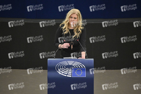 Plenartagung über den Digital Services Act im EU-Parlament in Straßburg