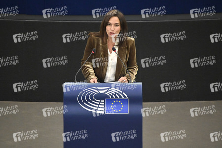 Plenartagung über den Digital Services Act im EU-Parlament in Straßburg