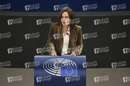 Plenartagung über den Digital Services Act im EU-Parlament in Straßburg