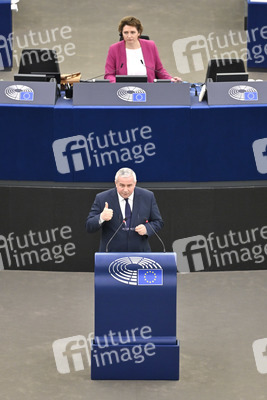 Plenartagung über Tiertransporte im EU-Parlament in Straßburg