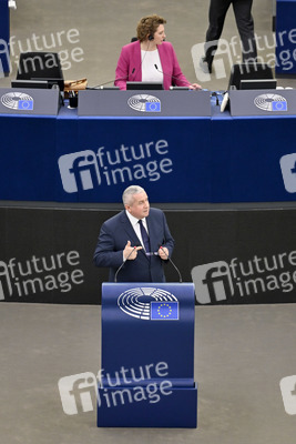 Plenartagung über Tiertransporte im EU-Parlament in Straßburg