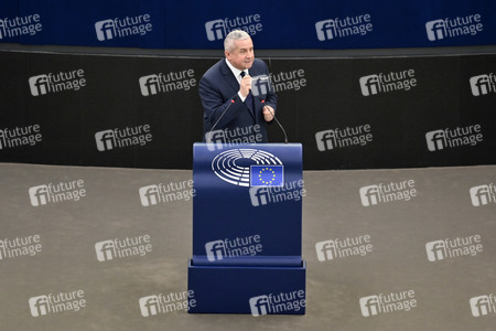 Plenartagung über Tiertransporte im EU-Parlament in Straßburg