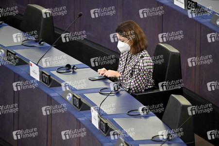Plenartagung über Tiertransporte im EU-Parlament in Straßburg