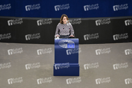 Plenartagung über Tiertransporte im EU-Parlament in Straßburg