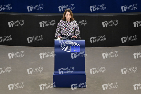 Plenartagung über Tiertransporte im EU-Parlament in Straßburg