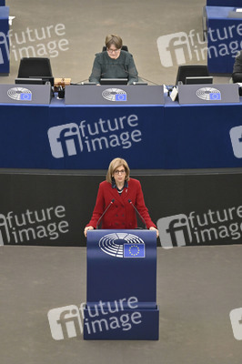 Plenartagung über Tiertransporte im EU-Parlament in Straßburg