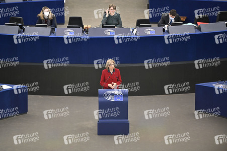 Plenartagung über Tiertransporte im EU-Parlament in Straßburg