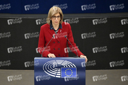 Plenartagung über Tiertransporte im EU-Parlament in Straßburg