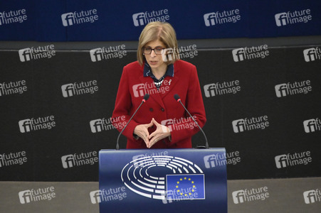 Plenartagung über Tiertransporte im EU-Parlament in Straßburg