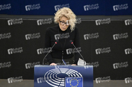 Plenartagung über Tiertransporte im EU-Parlament in Straßburg