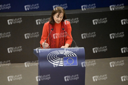 Plenartagung über Tiertransporte im EU-Parlament in Straßburg