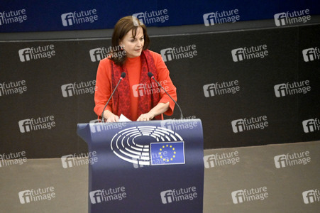 Plenartagung über Tiertransporte im EU-Parlament in Straßburg