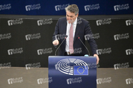 Plenartagung über Tiertransporte im EU-Parlament in Straßburg