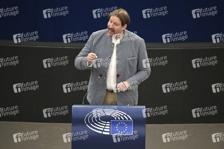 Plenartagung über Tiertransporte im EU-Parlament in Straßburg