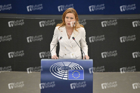 Plenartagung über Tiertransporte im EU-Parlament in Straßburg