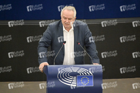 Plenartagung über Tiertransporte im EU-Parlament in Straßburg