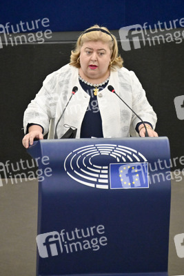 Plenartagung über Tiertransporte im EU-Parlament in Straßburg