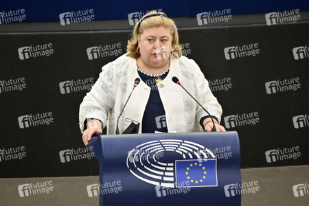 Plenartagung über Tiertransporte im EU-Parlament in Straßburg