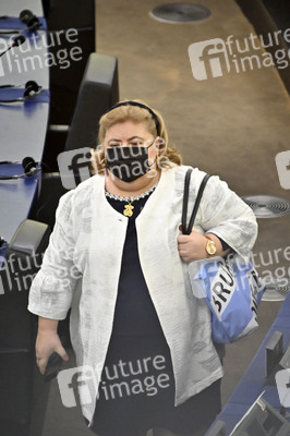 Plenartagung über Tiertransporte im EU-Parlament in Straßburg