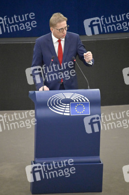 Plenartagung über Tiertransporte im EU-Parlament in Straßburg