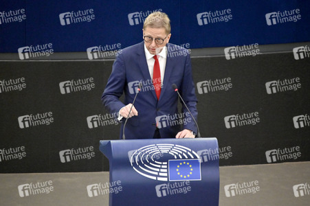 Plenartagung über Tiertransporte im EU-Parlament in Straßburg